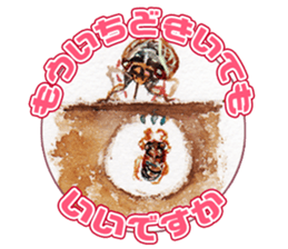 Life of the cicada sticker #5309404