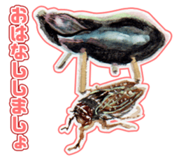 Life of the cicada sticker #5309412