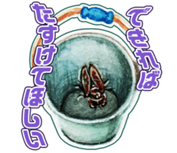 Life of the cicada sticker #5309417
