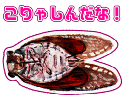 Life of the cicada sticker #5309421