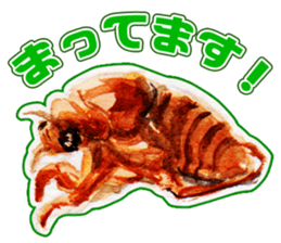 Life of the cicada sticker #5309422