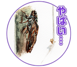 Life of the cicada sticker #5309423