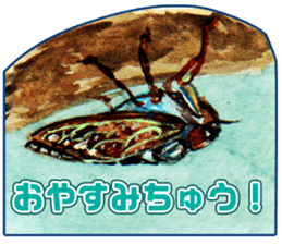 Life of the cicada sticker #5309427