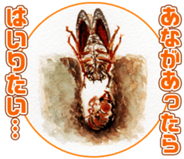 Life of the cicada sticker #5309433