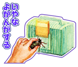 Life of the cicada sticker #5309434