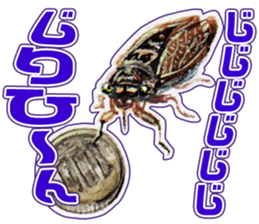 Life of the cicada sticker #5309435
