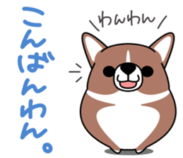 Corgi!Corgi! sticker #5310040