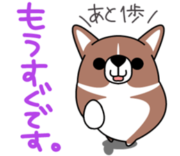 Corgi!Corgi! sticker #5310051