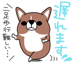Corgi!Corgi! sticker #5310053