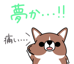 Corgi!Corgi! sticker #5310057
