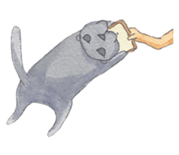 CAT!DIDI! sticker #5310841