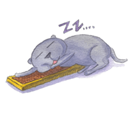 CAT!DIDI! sticker #5310844