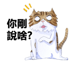 CAT!DIDI! sticker #5310854