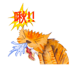 CAT!DIDI! sticker #5310856