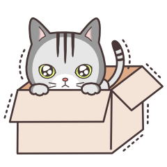 Question and answer(cute cat small snow)