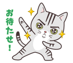 Question and answer(cute cat small snow) sticker #5312399