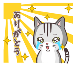 Question and answer(cute cat small snow) sticker #5312405