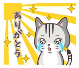 Question and answer(cute cat small snow) sticker #5312405