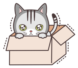 Question and answer(cute cat small snow) sticker #5312415