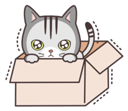 Question and answer(cute cat small snow) sticker #5312415