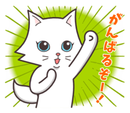 Question and answer(cute cat small snow) sticker #5312416