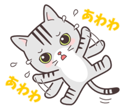 Question and answer(cute cat small snow) sticker #5312428