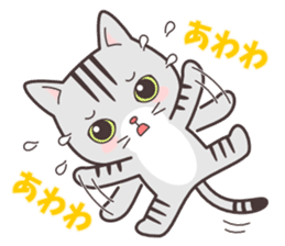 Question and answer(cute cat small snow) sticker #5312428