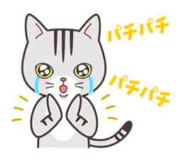 Question and answer(cute cat small snow) sticker #5312430