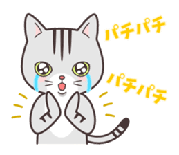 Question and answer(cute cat small snow) sticker #5312430