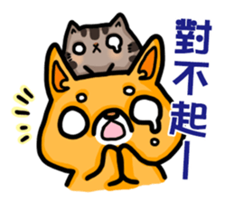 bandage bear&shiba inu 02 sticker #5313802