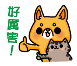 bandage bear&shiba inu 02 sticker #5313803