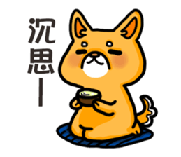 bandage bear&shiba inu 02 sticker #5313823