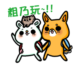 bandage bear&shiba inu 02 sticker #5313832