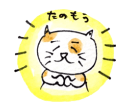It is mew Goro in Kansai dialect sticker #5317473