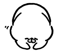 White baby seal01 sticker #5317583