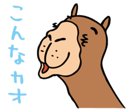 Who are similar to the camel sticker #5322414