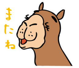 Who are similar to the camel sticker #5322443