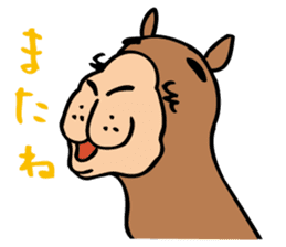 Who are similar to the camel sticker #5322443