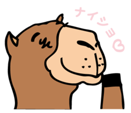 Who are similar to the camel sticker #5322449