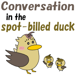 Conversation in spot-billed duck