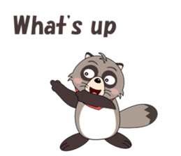 Conversation with raccoon English sticker #5324495
