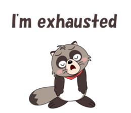 Conversation with raccoon English sticker #5324513