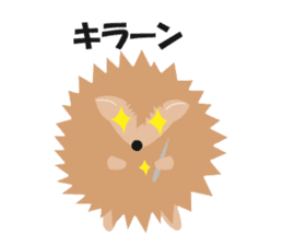 Hedgehog of Harry sticker #5324743