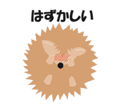 Hedgehog of Harry sticker #5324754