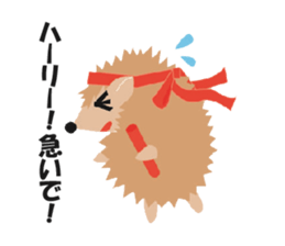 Hedgehog of Harry sticker #5324759