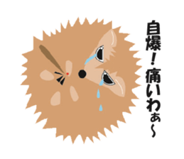 Hedgehog of Harry sticker #5324760