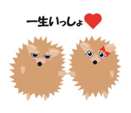 Hedgehog of Harry sticker #5324765