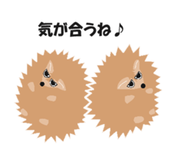 Hedgehog of Harry sticker #5324766