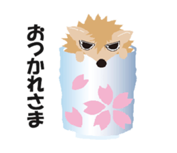 Hedgehog of Harry sticker #5324769