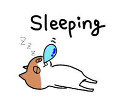 Daily life of Cat and Hamster (English) sticker #5325697